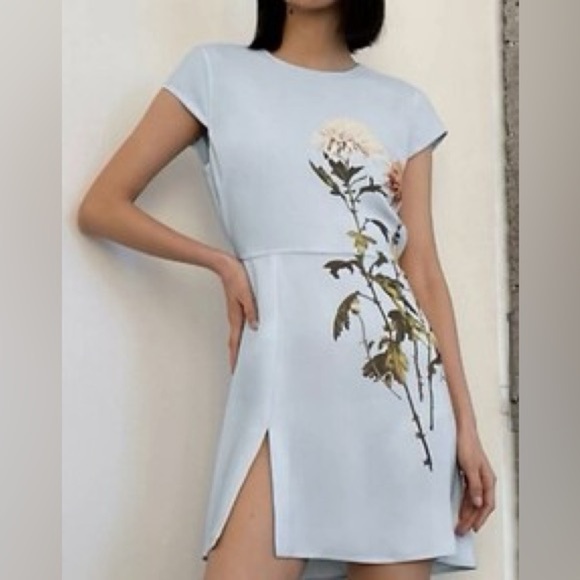 Aritiza Babaton Hamptons Mini Dress (D10) - Picture 2 of 9